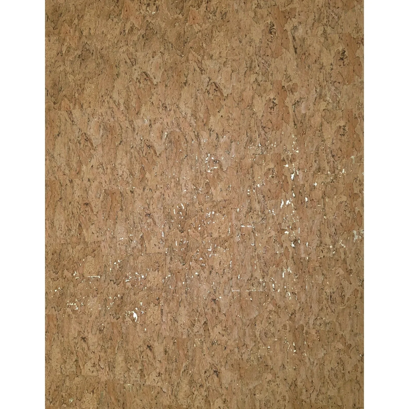 WM021KCG Real Natural cork organic sand brown gold metallic foil textured eco Wallpaper - Image 4