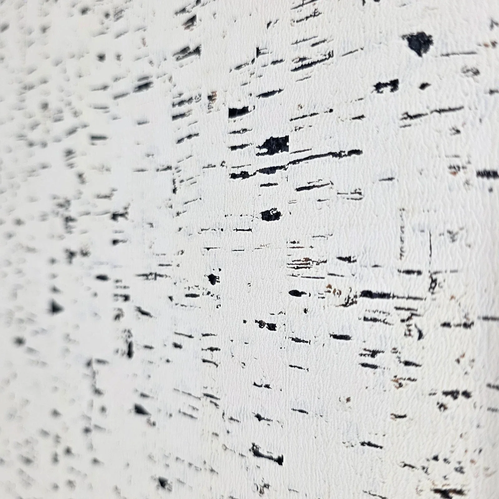 WM100100SMC Enchanced natural cork matte off white black birch textured eco modern Wallpaper - Image 7