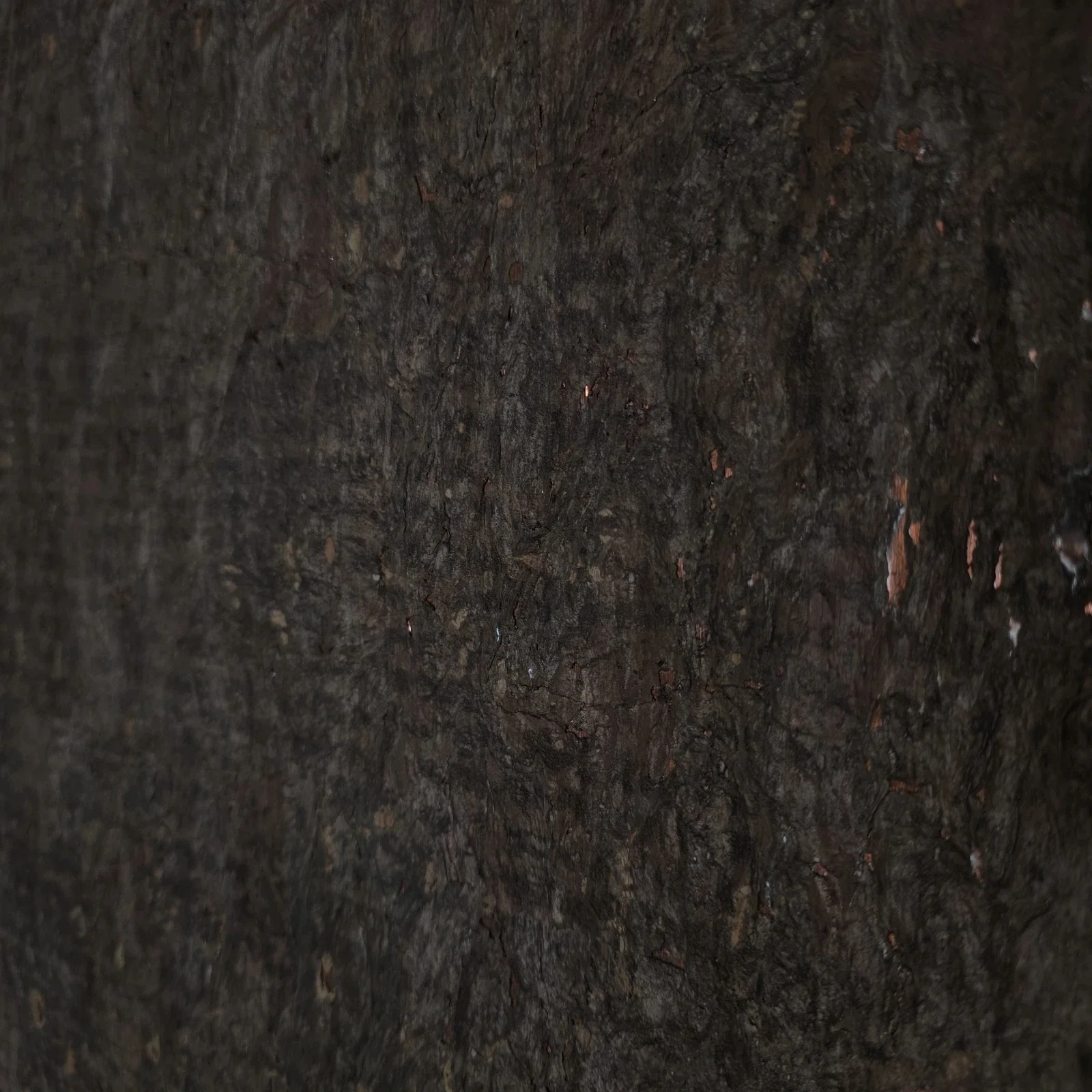 WM403KCC Real Natural cork organic dark brown copper metallic foil textured eco Wallpaper - Image 10