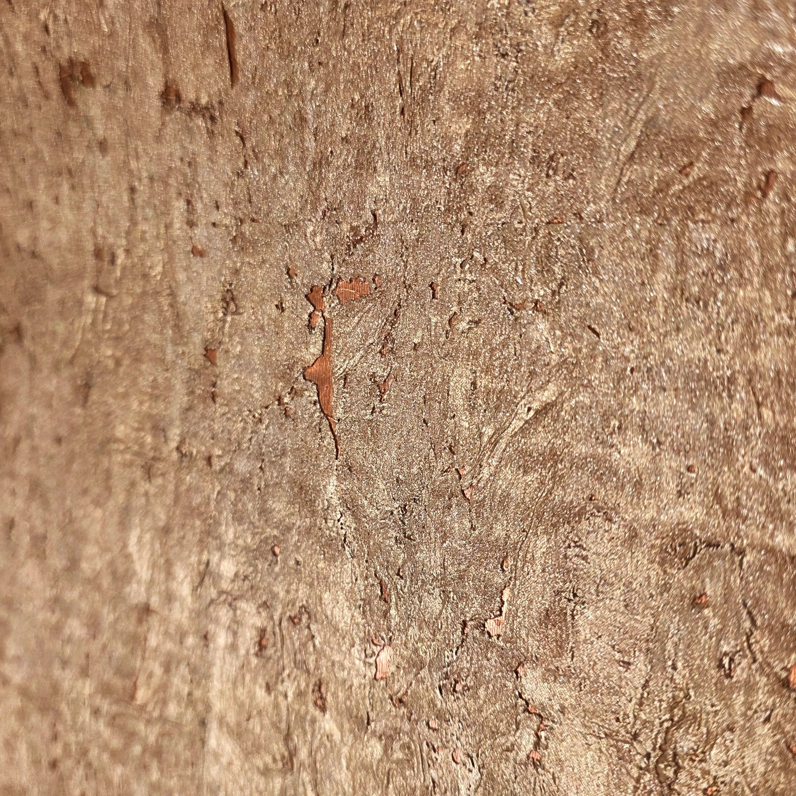 WM501KCC Real Natural cork warm rose gold copper metallic textured modern eco Wallpaper - Image 9